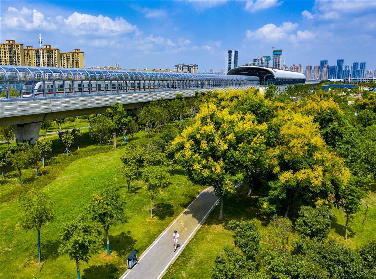 mg游戏下载