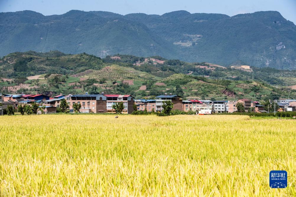 捕鱼大亨游戏下载